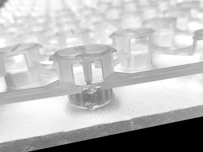 五恒均熱支架模塊